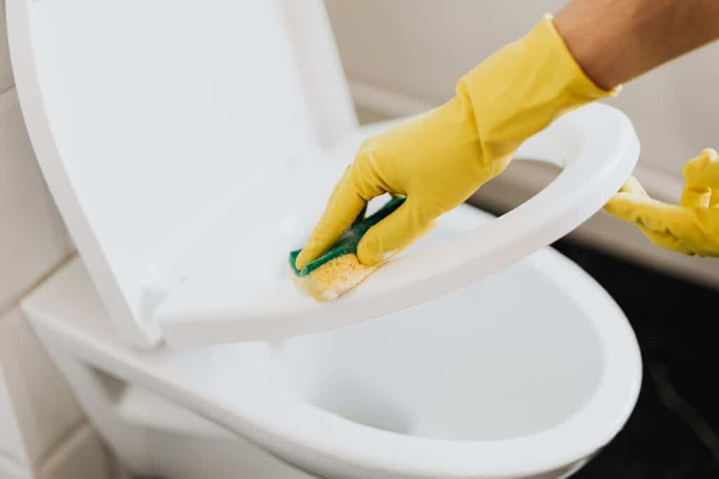 professionele reiniging van toiletten